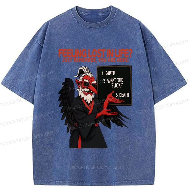 Tokyo-Tiger The Three Stages Of Life Funny Washed T-Shirt