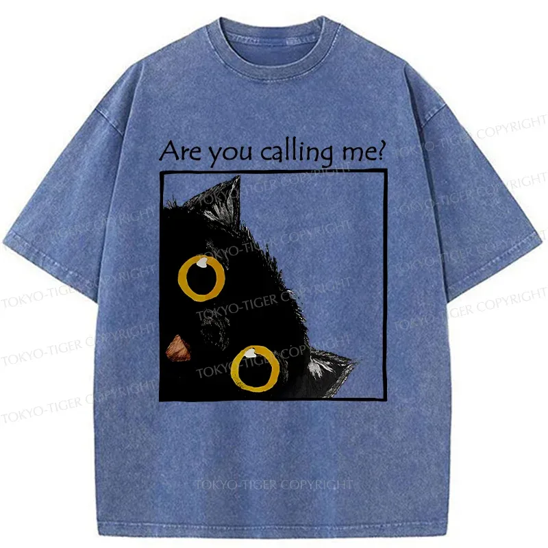 Tokyo-Tiger Silly Kitten Washed T-Shirt