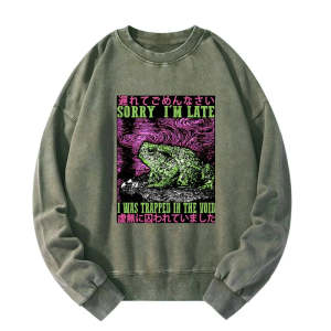 Image of Tokyo-Tiger Frogs Trapped In The Void Washed Sweatshirt