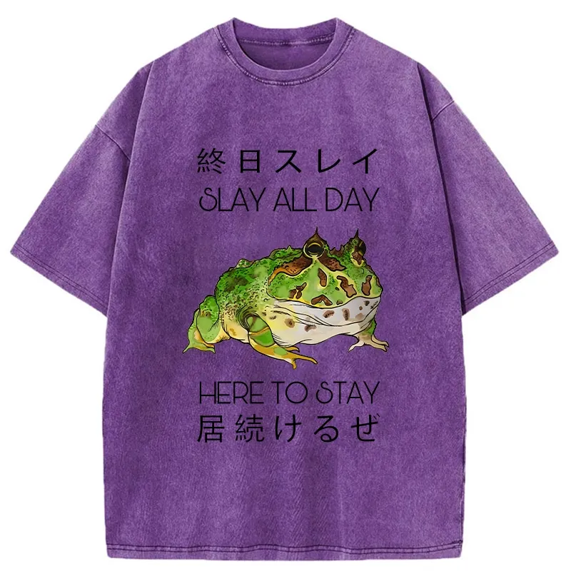 Tokyo-Tiger Slay All Day Washed T-Shirt