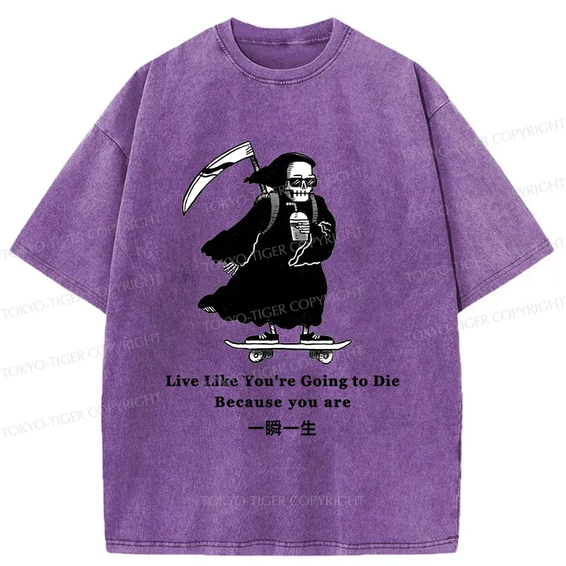 Tokyo-Tiger Death Skateboard Washed T-Shirt