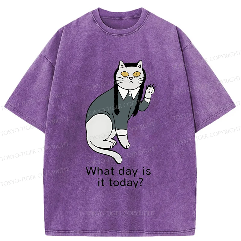 Tokyo-Tiger Cat Girl Funny Washed T-Shirt
