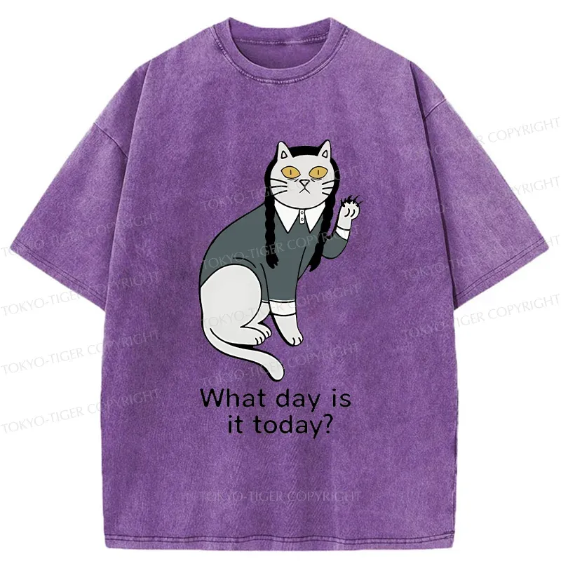 Tokyo-Tiger Cat Girl Funny Washed T-Shirt