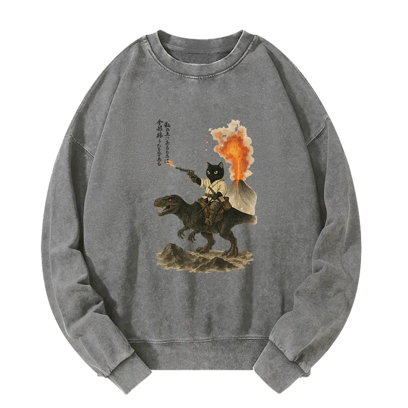 Tokyo-Tiger Cat Riding A Dinosaur Washed Sweatshirt