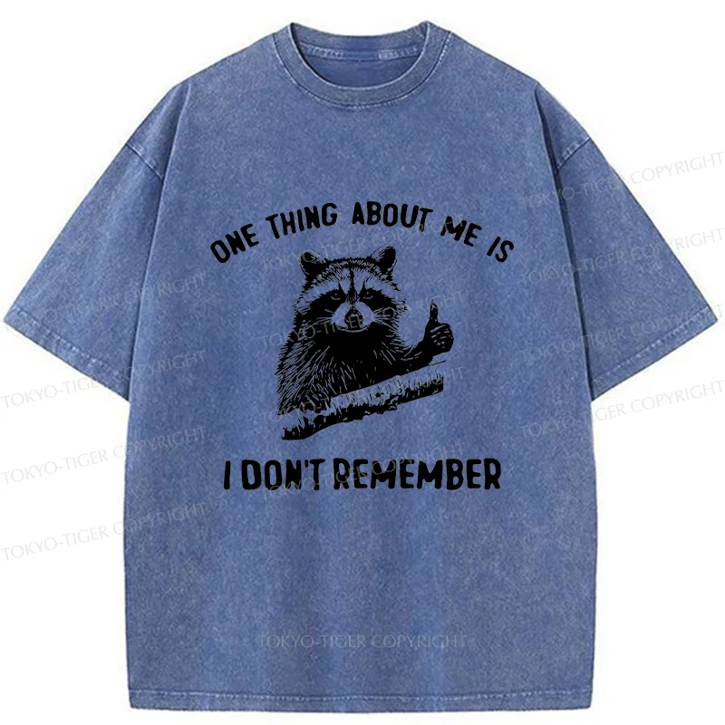 Tokyo-Tiger Amnesiac Raccoon Washed T-Shirt