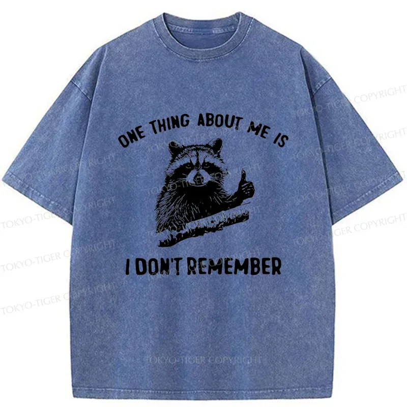 Tokyo-Tiger Amnesiac Raccoon Washed T-Shirt