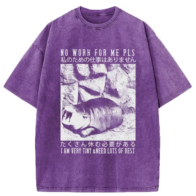 Tokyo-Tiger Funny Moo Deng Needs Lots Of Rest Washed T-Shirt