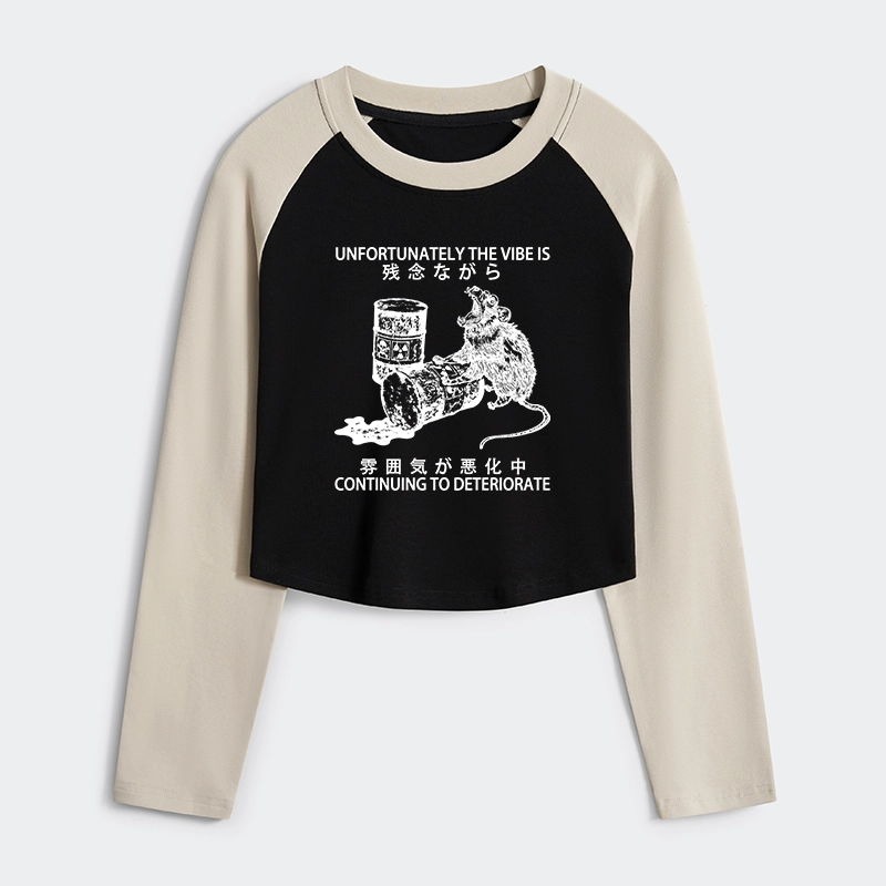 Tokyo-Tiger The Vibe Is Continuing To Deteriorate Women's Crop Raglan T-Shirt