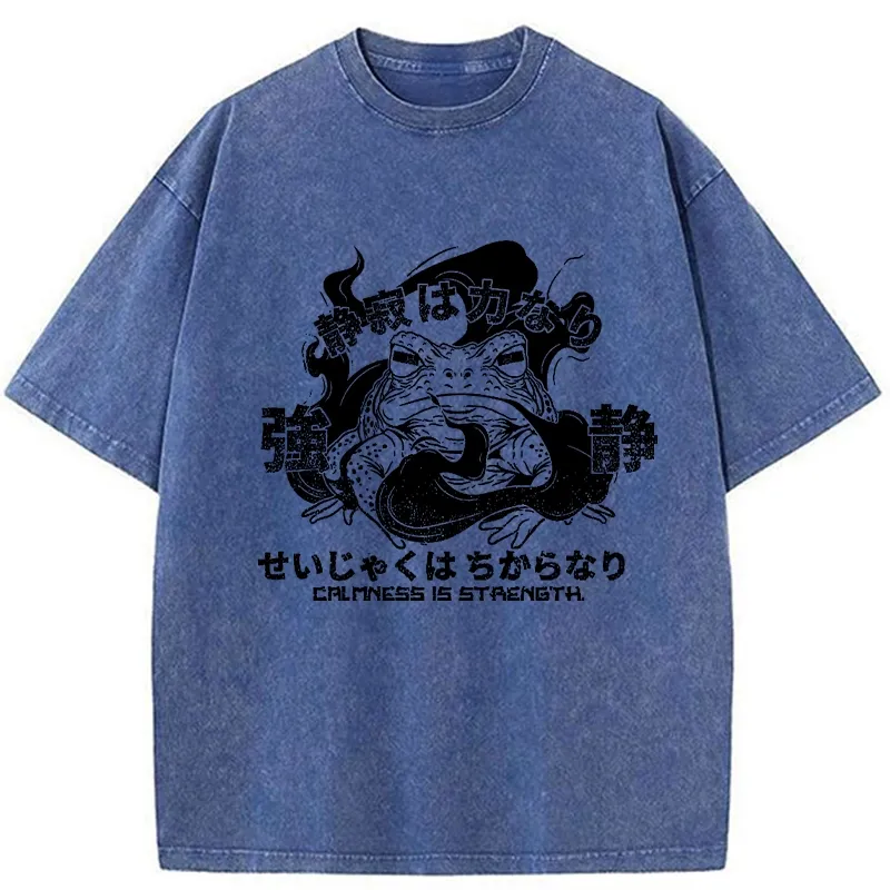 Tokyo-Tiger Calmness Is Strength Washed T-Shirt