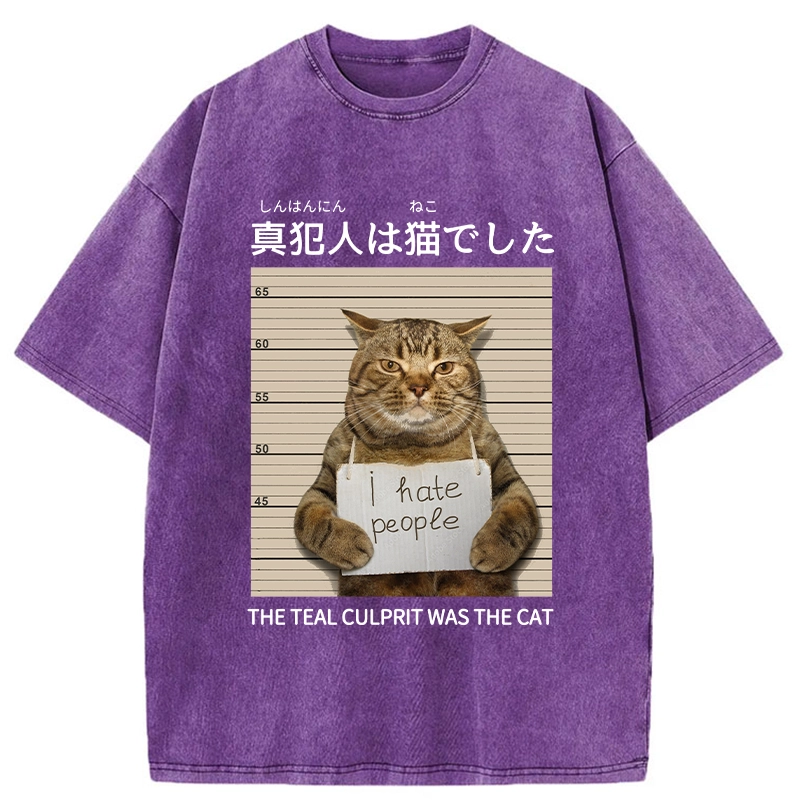 Tokyo-Tiger The Culprit Is The Cat Washed T-Shirt