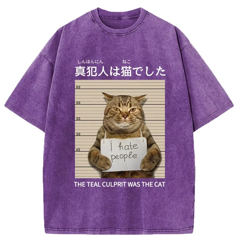 Tokyo-Tiger The Culprit Is The Cat Washed T-Shirt