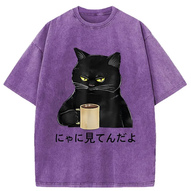 Tokyo-Tiger Grim Cat Is Watching You Washed T-Shirt