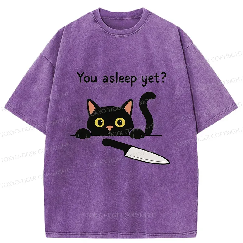 Tokyo-Tiger Cat With Murderous Intent Washed T-Shirt