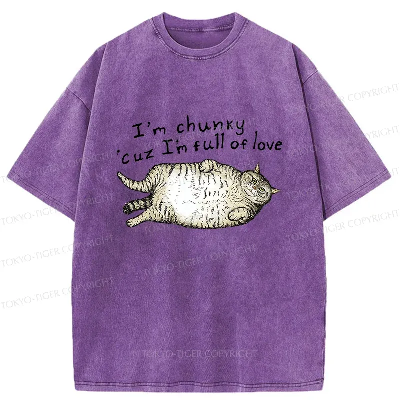 Tokyo-Tiger Fat Cat Funny Washed T-Shirt