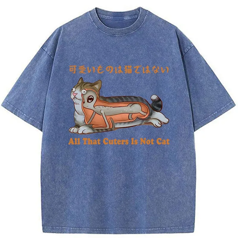 Tokyo-Tiger All That Cuters Is Not Cat Washed T-Shirt