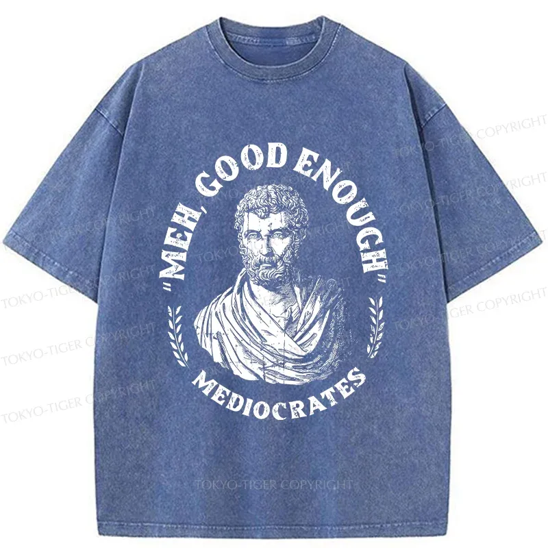 Tokyo-Tiger Socrates Funny Saying Washed T-Shirt