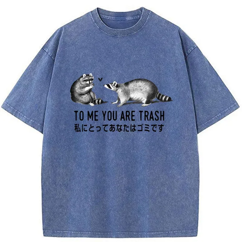 Tokyo-Tiger Raccoon Courting Washed T-Shirt