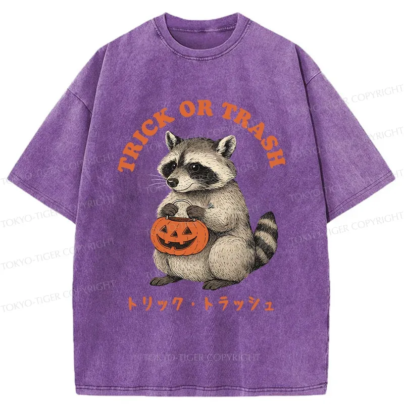 Tokyo-Tiger Halloween Raccoon Washed T-Shirt