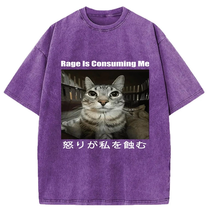 Tokyo-Tiger Rage Is Consuming Me Japan Washed T-Shirt