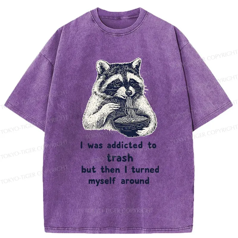 Tokyo-Tiger Raccoon Eating Ramen Japanese Washed T-Shirt