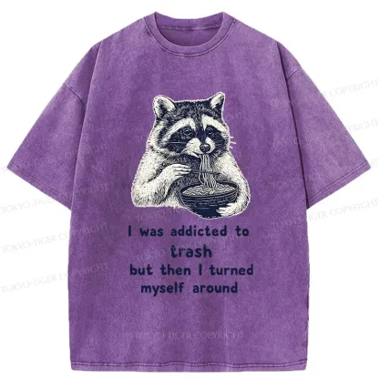 Tokyo-Tiger Raccoon Eating Ramen Japanese Washed T-Shirt