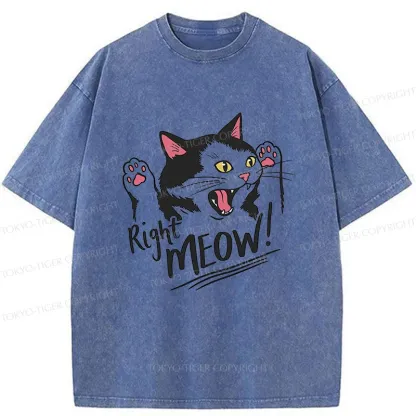 Tokyo-Tiger Right Meow Funny Washed T-Shirt