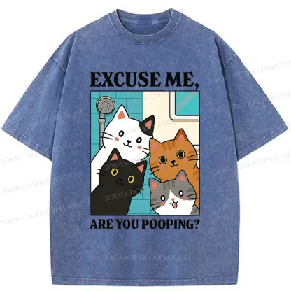 Tokyo-Tiger Cats Is Staring At You Washed T-Shirt