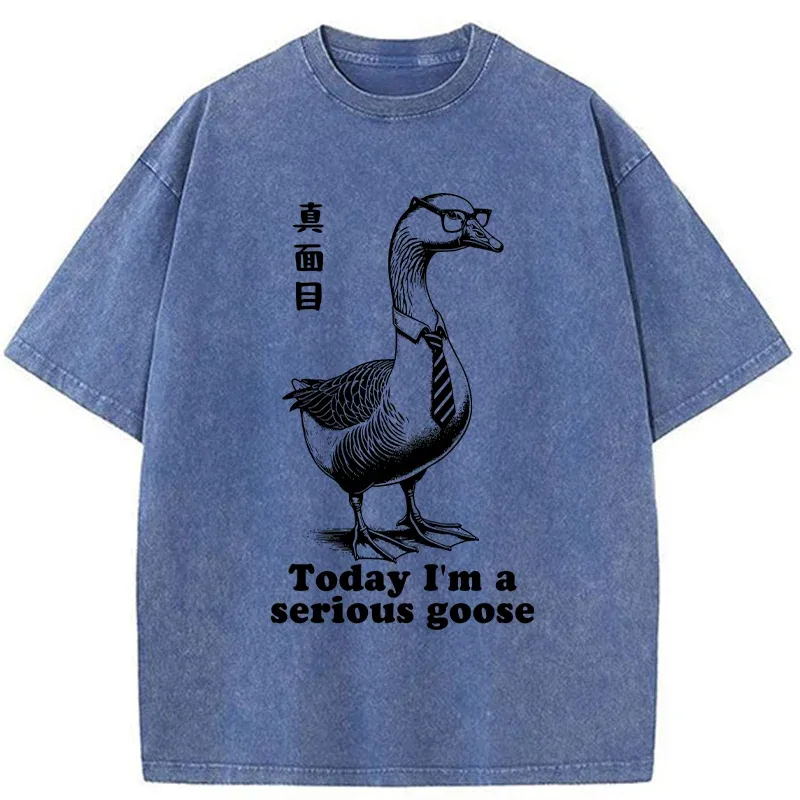 Tokyo-Tiger Serious Goose Washed T-Shirt