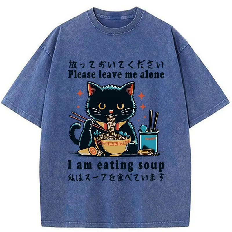 Tokyo-Tiger Cat Enchanted By Ramen Washed T-Shirt
