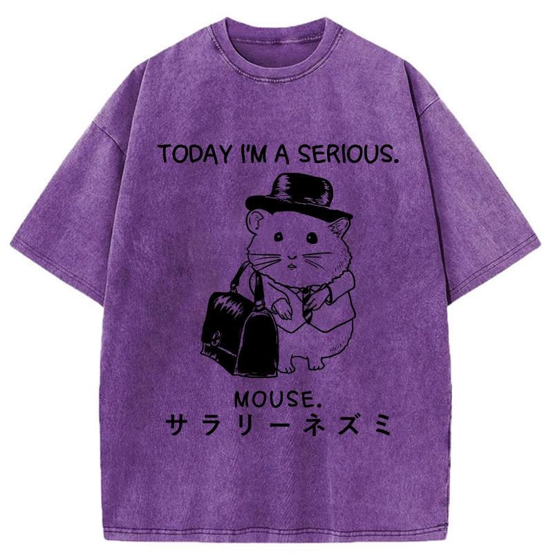 Tokyo-Tiger Today I'm A Serious Washed T-Shirt