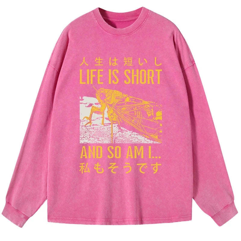 Tokyo-Tiger A Grasshopper With A Short Life Washed Long Sleeve T-Shirt