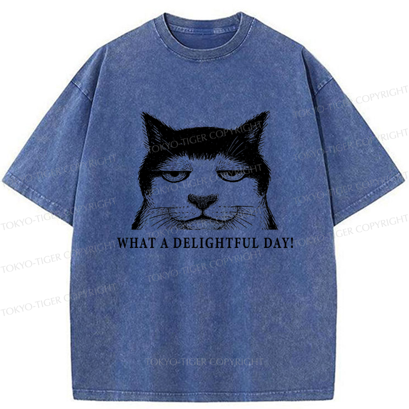 Tokyo-Tiger The World-Weary Cat Washed T-Shirt