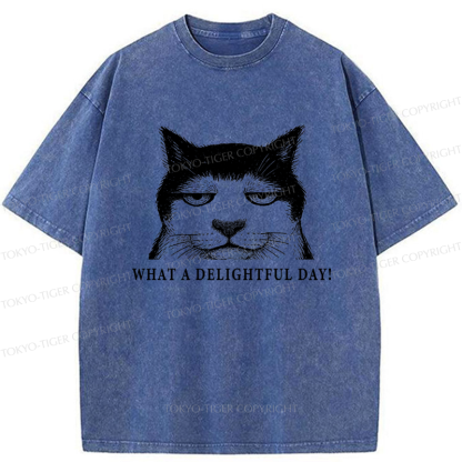 Tokyo-Tiger The World-Weary Cat Washed T-Shirt