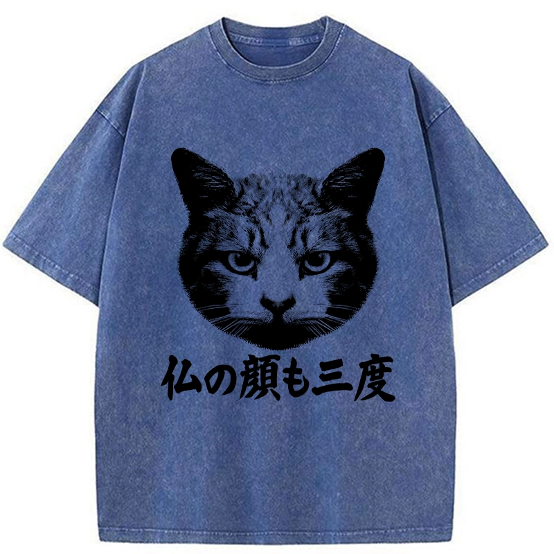 Tokyo-Tiger Cat Hits After Three Messes Washed T-Shirt