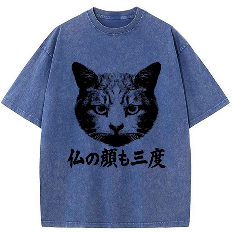 Tokyo-Tiger Cat Hits After Three Messes Washed T-Shirt