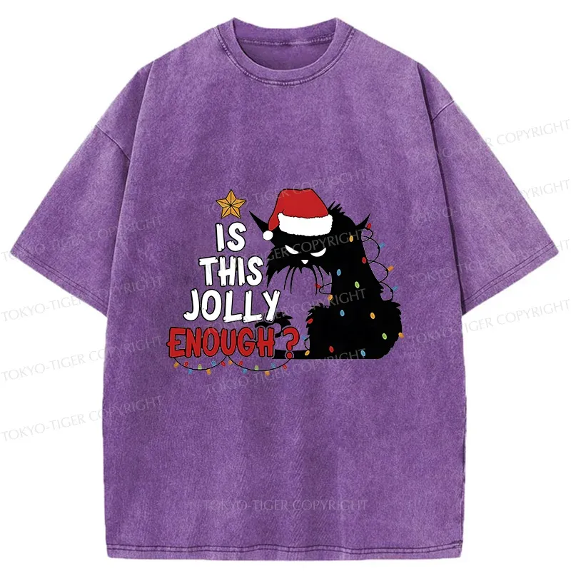 Tokyo-Tiger Grumpy Cat Christmas Washed T-Shirt