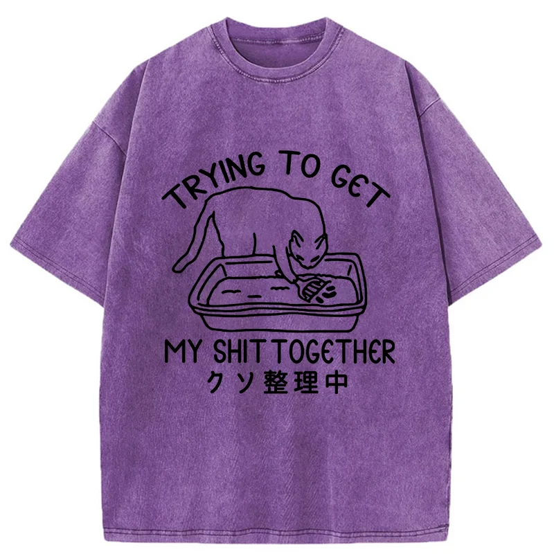 Tokyo-Tiger Cat Cleaning The Toilet Washed T-Shirt