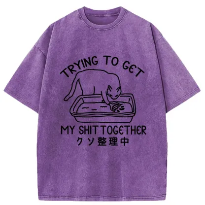 Tokyo-Tiger Cat Cleaning The Toilet Washed T-Shirt