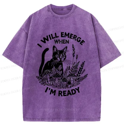 Tokyo-Tiger Cat Ready To Appear Washed T-Shirt