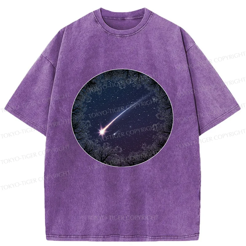 Tokyo-Tiger Beautiful Meteor Washed T-Shirt