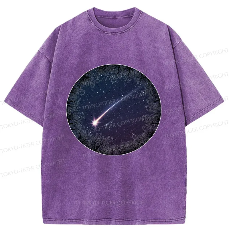 Tokyo-Tiger Beautiful Meteor Washed T-Shirt