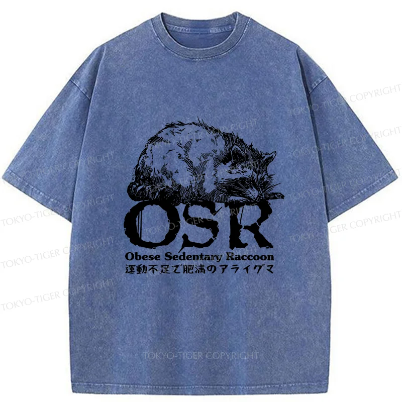 Tokyo-Tiger Fat Raccoon Washed T-Shirt