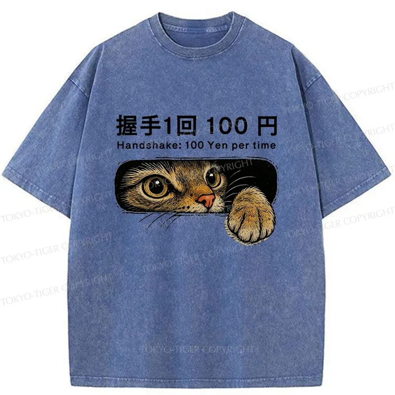 Tokyo-Tiger Shake Hands With Cat For A Fee Washed T-Shirt