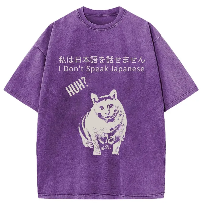 Tokyo-Tiger Cat Doesn't Speak Japanese Washed T-Shirt