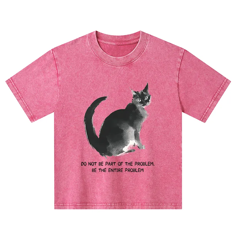 Tokyo-Tiger Funny Cat Be The Entire Problem Kids Washed T-Shirt