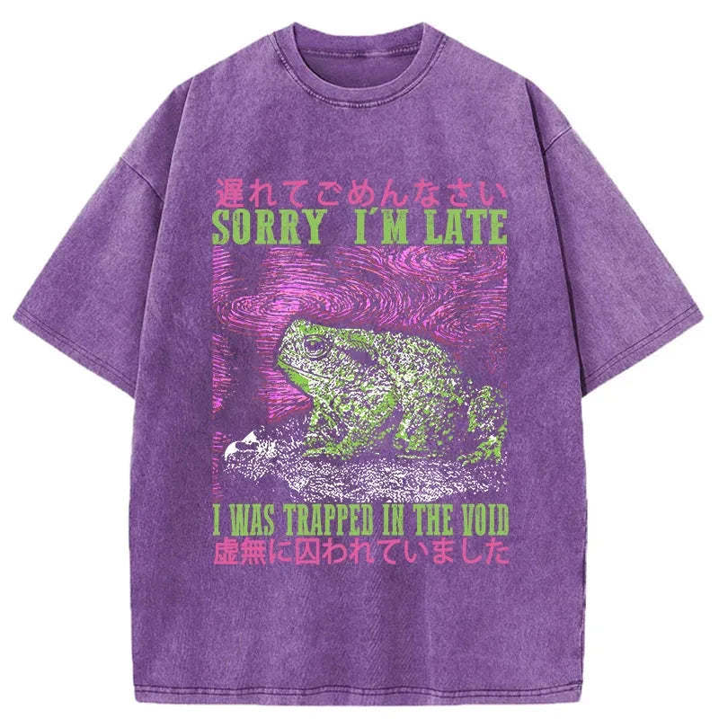 Tokyo-Tiger A Frog In Distress Japanese Washed T-Shirt