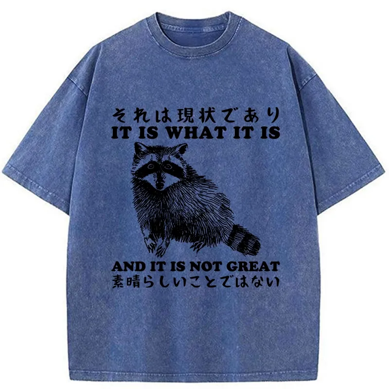 Tokyo-Tiger That Is The Current Situation Washed T-Shirt