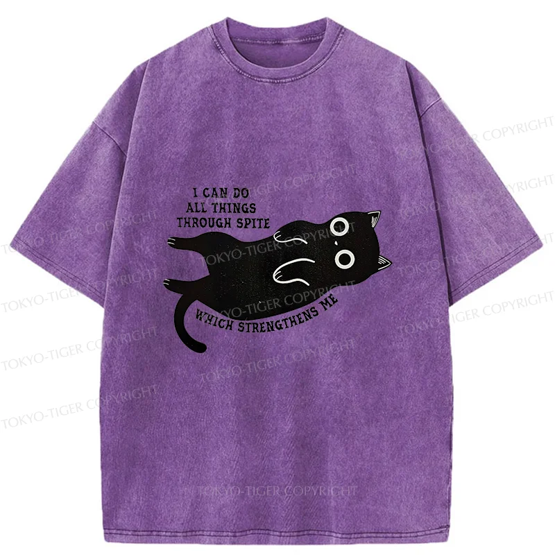 Tokyo-Tiger Cat Can Do All Things Spite Washed T-Shirt