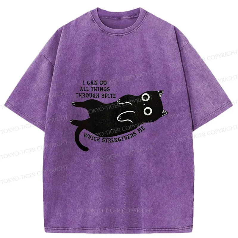 Tokyo-Tiger Cat Can Do All Things Spite Washed T-Shirt