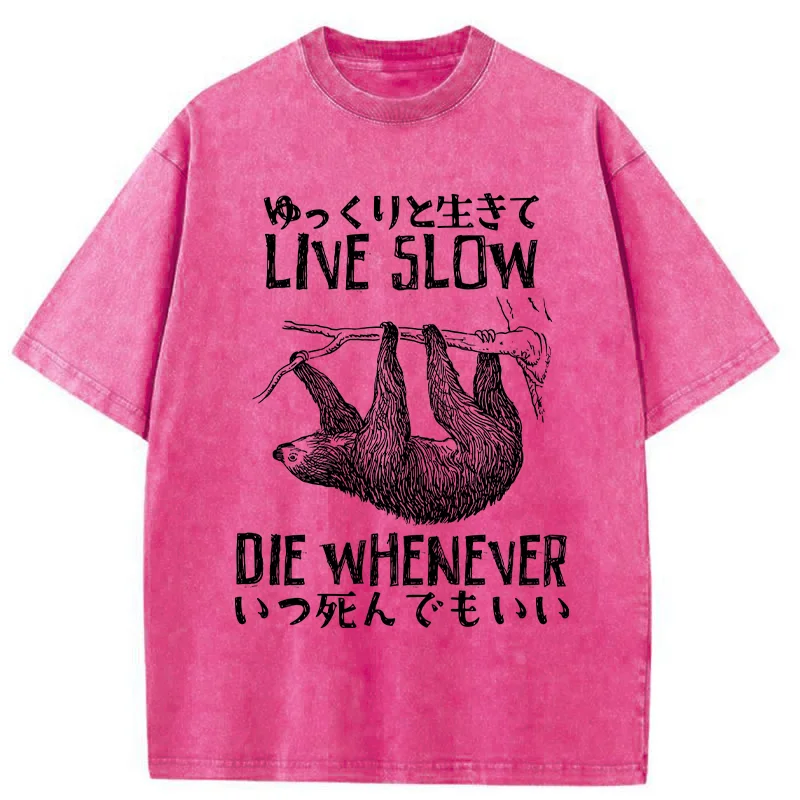 Tokyo-Tiger Slow-living Sloth Washed T-Shirt